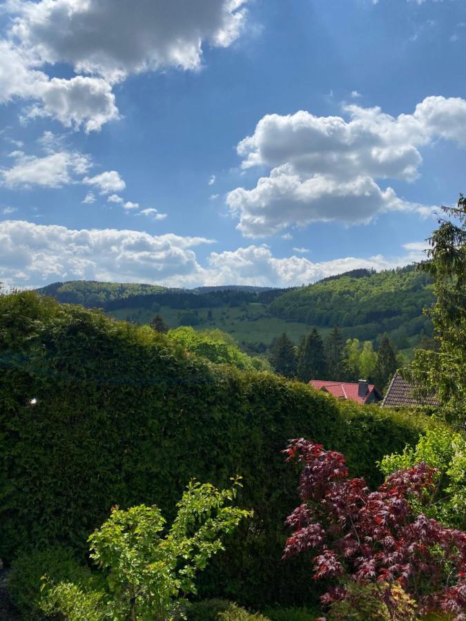 Hills Hut Villa Langelsheim Exterior photo