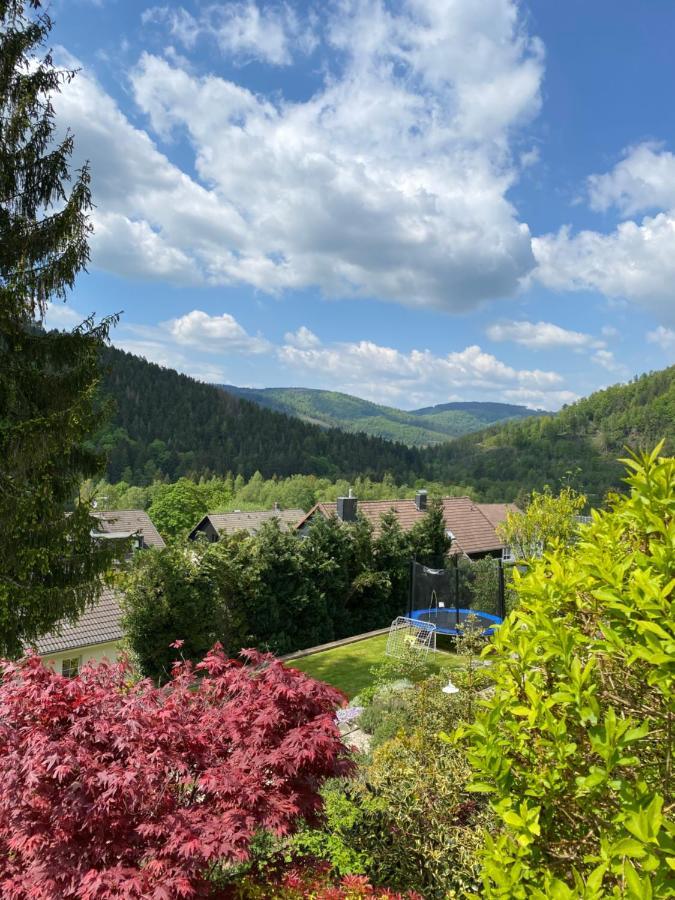 Hills Hut Villa Langelsheim Exterior photo