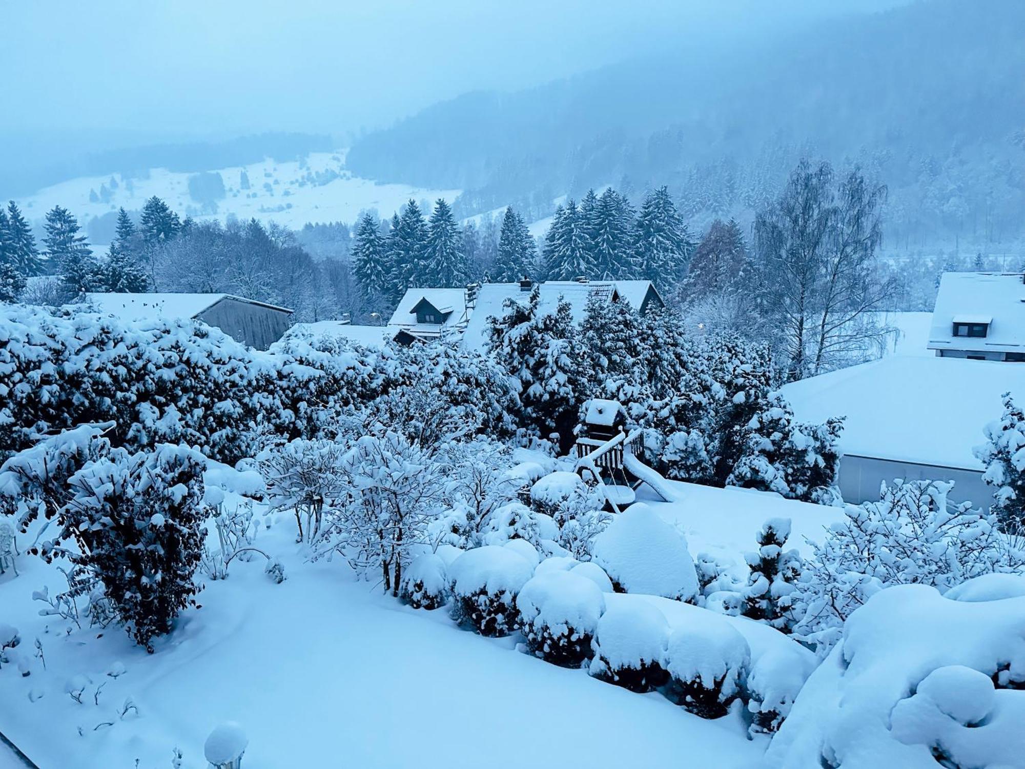 Hills Hut Villa Langelsheim Exterior photo